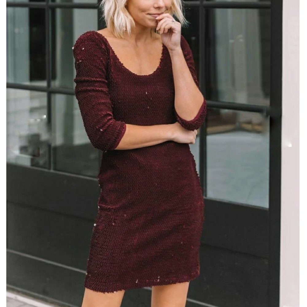 NWT BB DAKOTA Casablanca Burgundy Velvet Sequined Dress